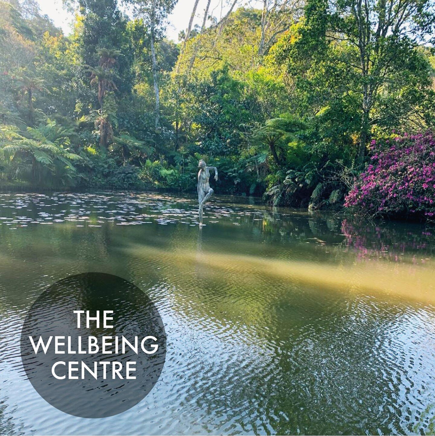 The beautiful Makaranga Gardens are home to the WellBeing Centre. Here Dr Russell Hopkins, Homoeopath, continues to practice the fine art of Classical Homoeopathy in the true Makaranga spirit of health and healing. To make your appointment please cal
